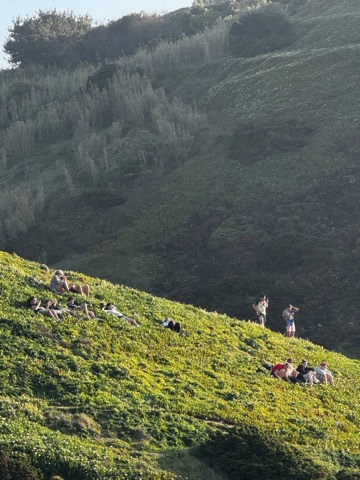 Hillside